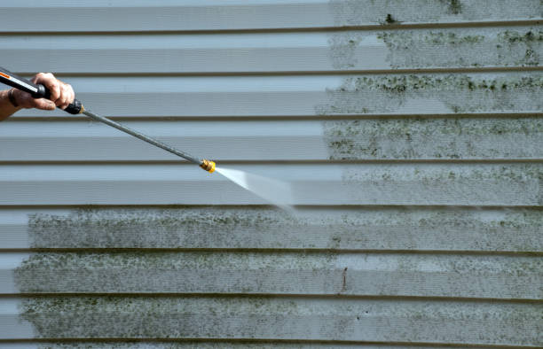 Professional Pressure Washing in Emory, TX