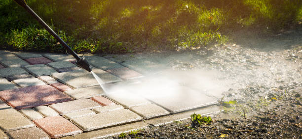 Best Solar Panel Cleaning  in Emory, TX